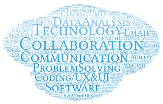 Word Cloud of Next Gen Skills